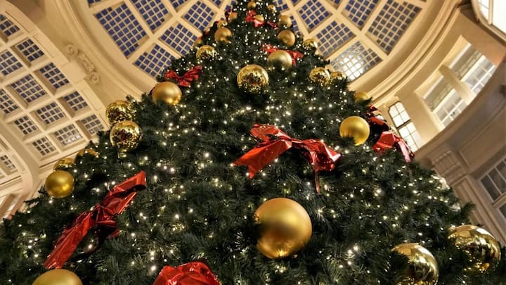 Travelling to Europe for Christmas? Plan for these airport strikes in December Travelling to Europe for Christmas? Plan for these airport strikes in December