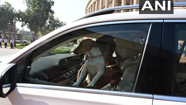 Why is Congress MP facing heat for bringing a dog to Parliament? What do rules say?