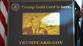 Trump Gold Card is here: Which US visa does it replace? How does it differ from green card?