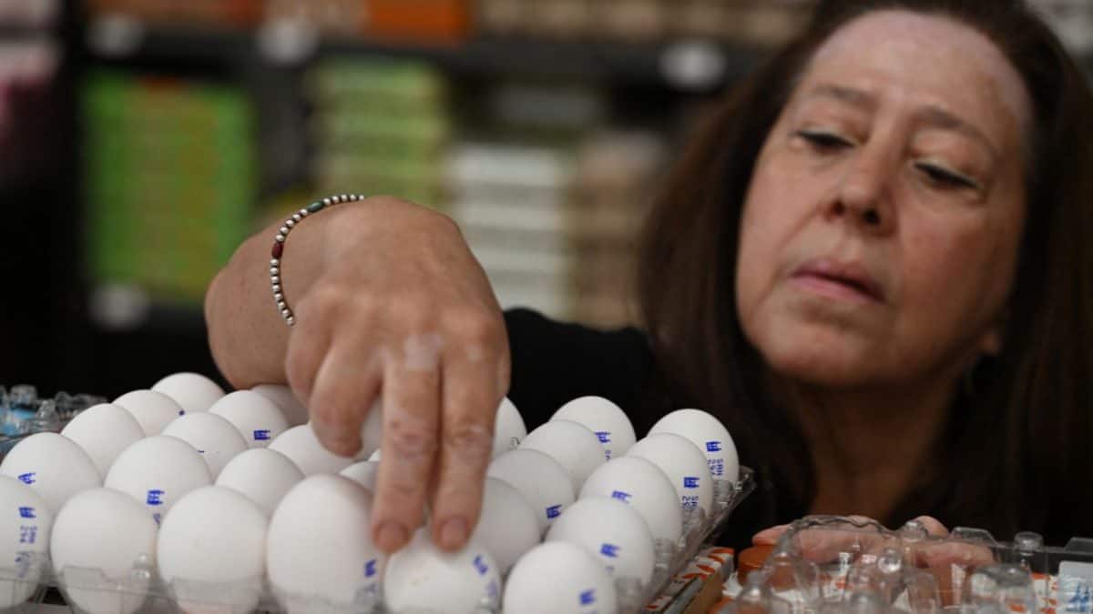 'Misleading': Eggs don't cause cancer, FSSAI debunks claim