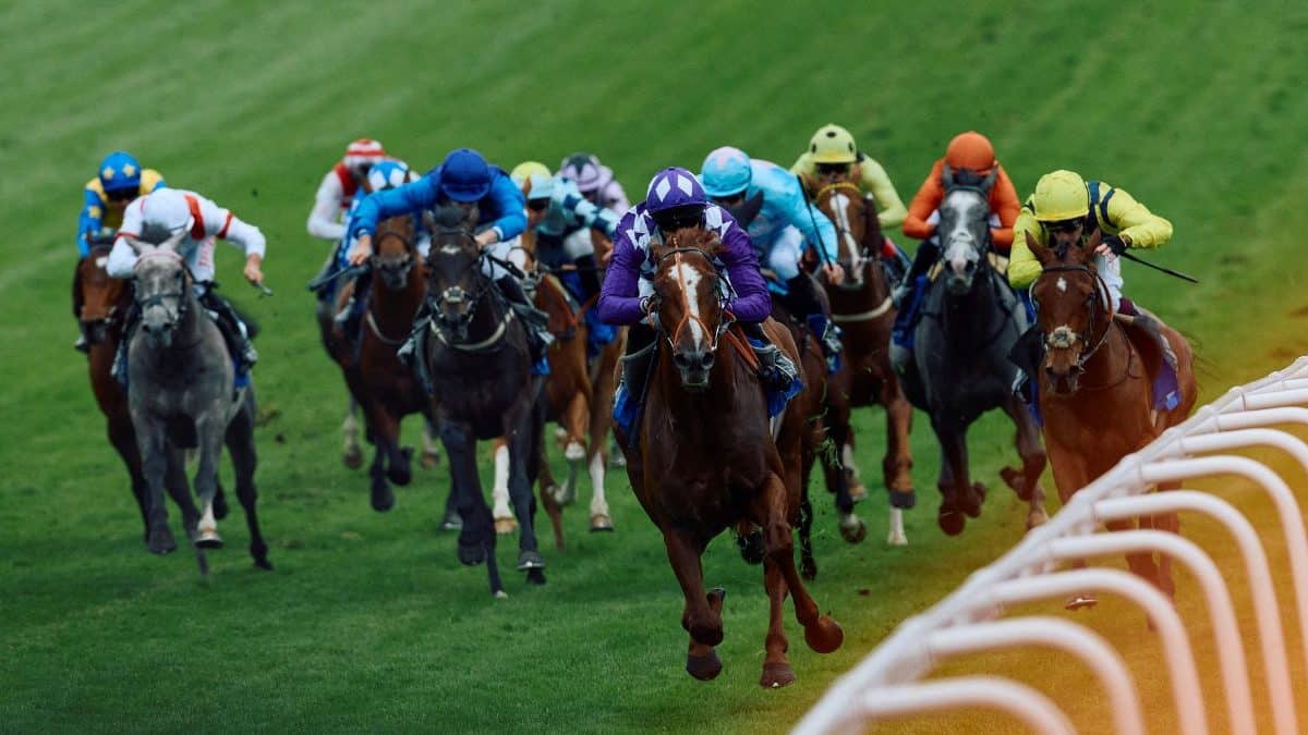 Protestor who invaded Sha Tin track during Hong Kong cup freed on bail