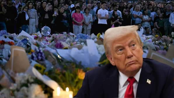 'Nations must stand together against radical Islamic terrorism': Trump after Bondi beach shooting