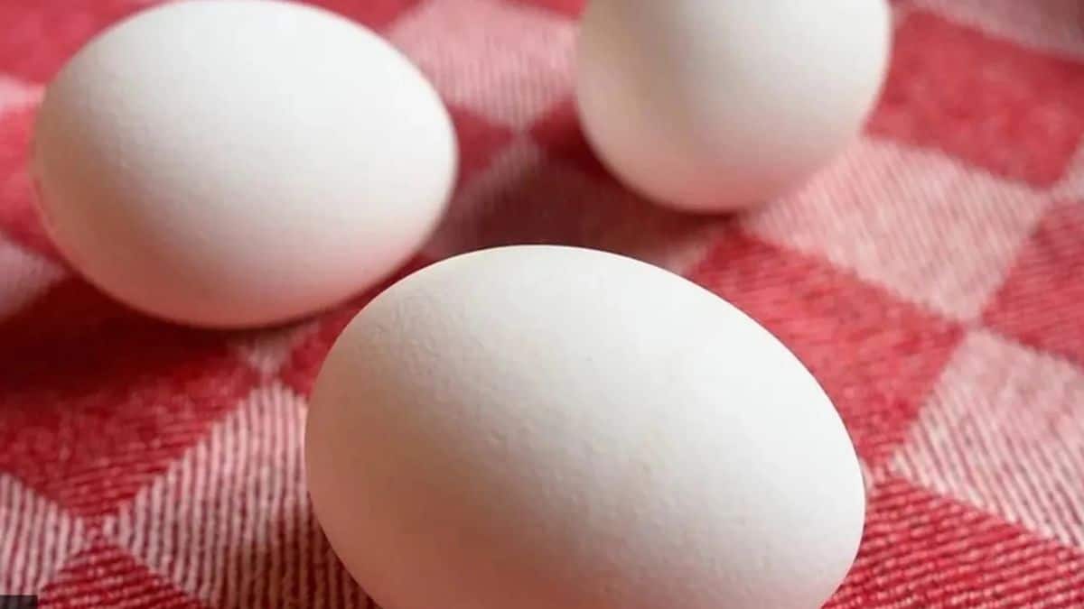 Can eggs cause cancer? Viral claim by Indian doctor is sparking concern