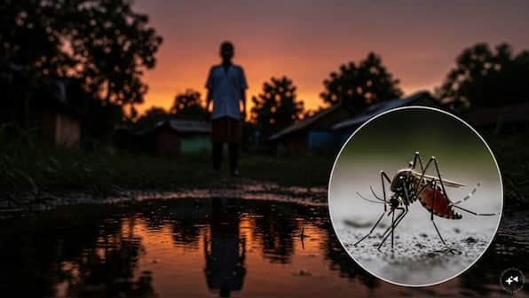 Experts call for continued surveillance as WHO flags rising malaria risk in India