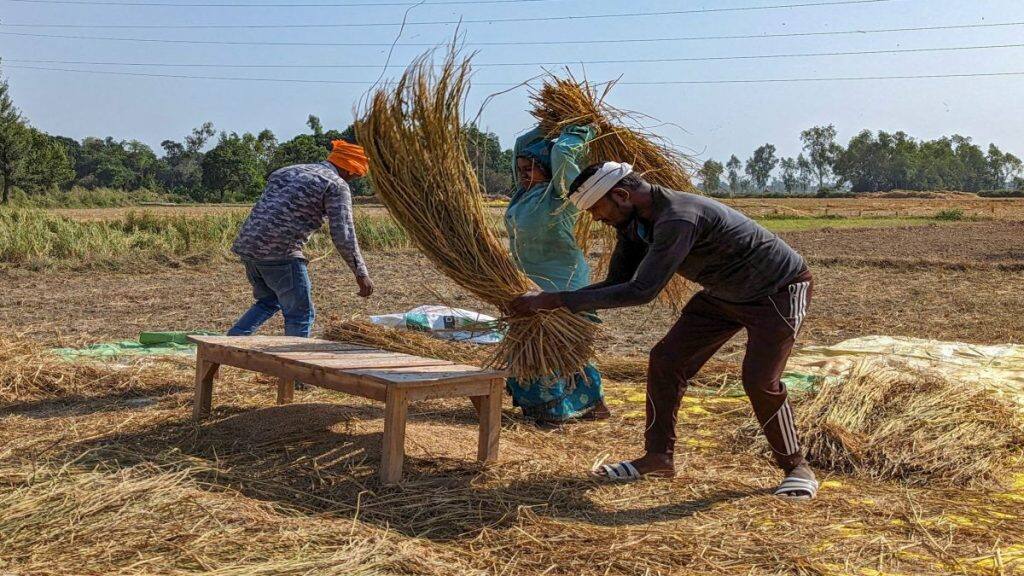 While the MNREGA guarantees 100 days of work to members of rural households every year, the new bill raises that to 125 days of work per year. Reuters