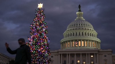 The US Capitol Christmas Tree, a 53-foot-tall red fir from Nevada, stands at the US Capitol in Washington ahead of the big holiday. Reuters