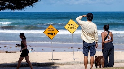 Beachgoers at Queenscliff Beach walk past warning signs, with beaches closed after recent shark attacks in Sydney, Australia, January 20, 2026. Reuters