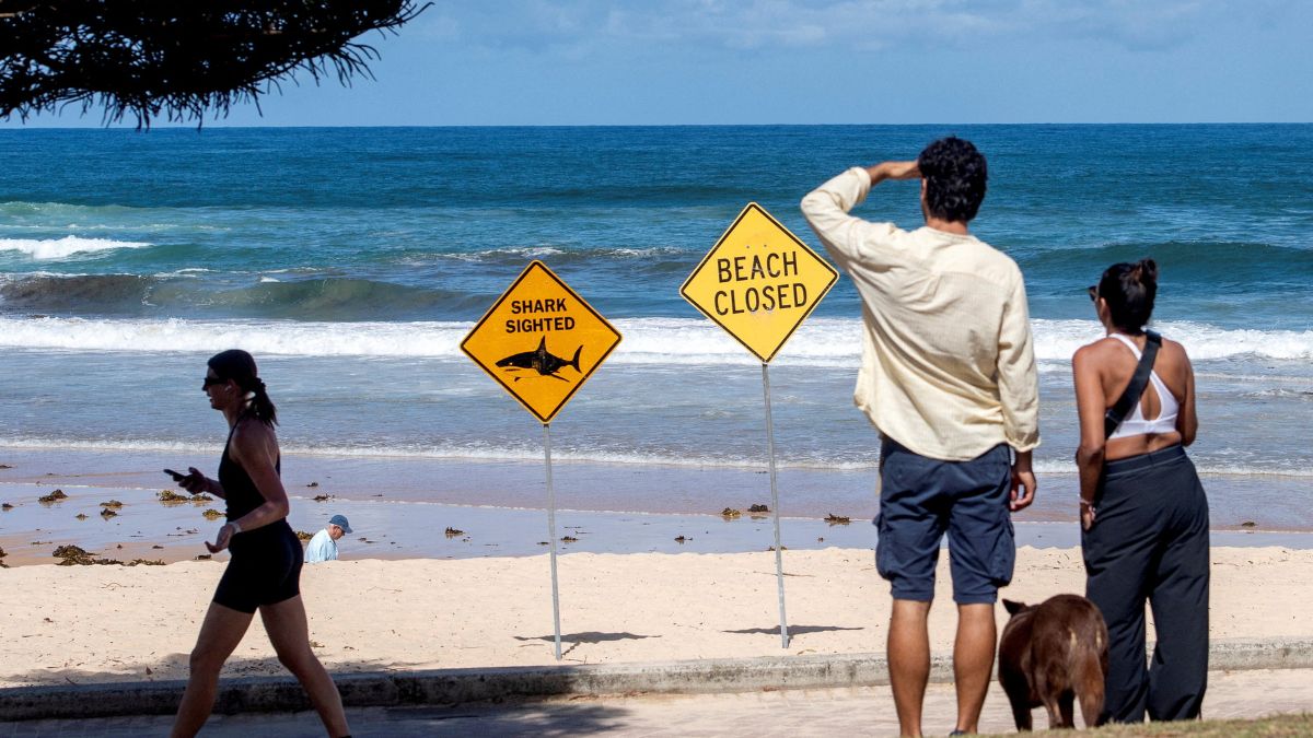 4 shark attacks in 2 days: How safe are Australia's beaches? 4 shark attacks in 2 days: How safe are Australia's beaches?