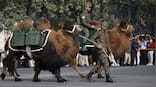 Bhairav Battalion, animal contingent and more... How this R-Day parade will be different