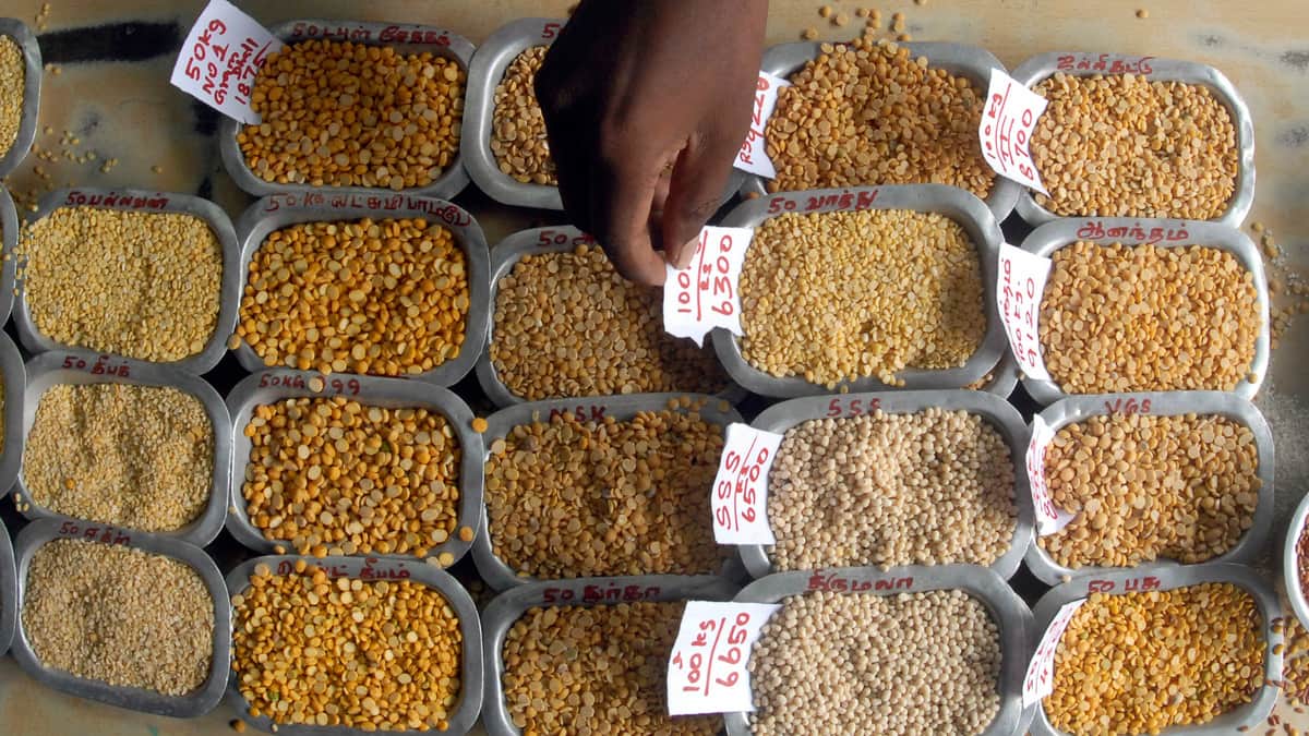 Pulse of the problem? Could dal derail the India-US trade deal?