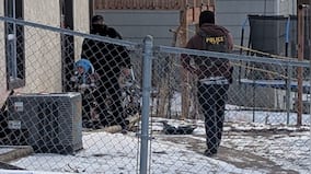 Who is Liam Ramos, 5-year-old detained by ICE in Minnesota?