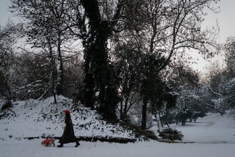 A woman walks her dog past snow-covered trees in a park in La Rochelle, western France following rare and heavy snowfall in the Atlantic coastal region. AFP