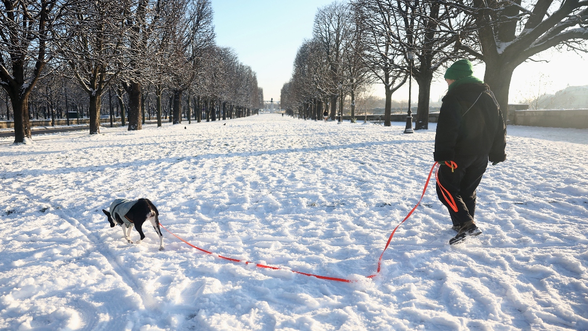 A woman walks her dog in the snow-covered Cours de la Reine garden in Paris as winter weather with snow and cold temperatures hits a large part of the country, France, on Tuesday. Reuters A woman walks her dog in the snow-covered Cours de la Reine garden in Paris as winter weather with snow and cold temperatures hits a large part of the country, France, on Tuesday. Reuters
