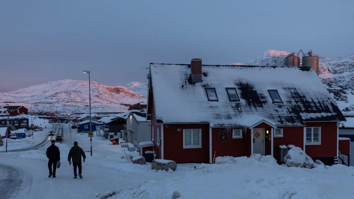 Trump Always Chickens Out! Is this what just happened with Greenland?