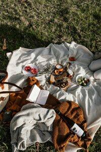 A feast on a picnic blanket.