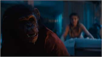 'Primate' Movie Review: Johannes Roberts’ pulpy, gory creature feature knows exactly what it wants to be