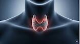 Doctor explains: Symptoms, myths and screening tips to tackle thyroid complications