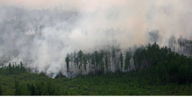 Ahead of hazardous winter condition, some eye-popping claims getting attention online, including the risk of 'exploding trees.' 