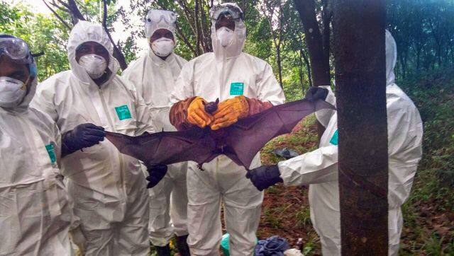 kerala nipah virus