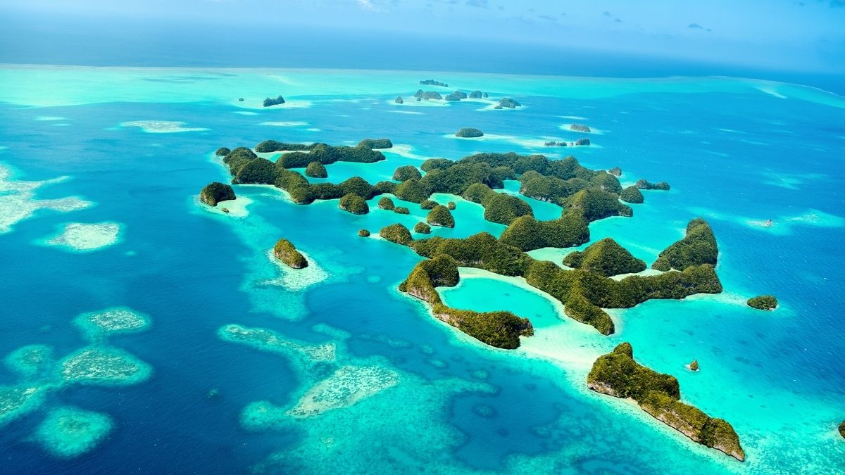 Mindful travelling: What is the Passport Pledge initiative introduced by Palau? Mindful travelling: What is the Passport Pledge initiative introduced by Palau?