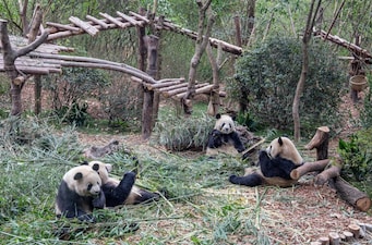 Explore the World's Most Unique Wildlife Enclosures and Animal Habitats