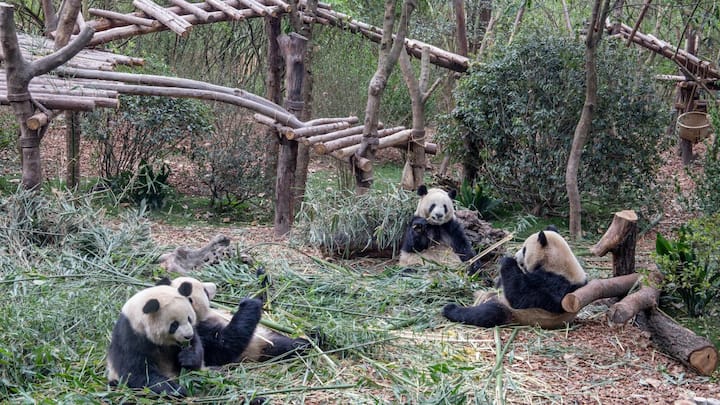 Most unique wildlife enclosures and animal habitats around the world