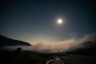 Life in the Dark: 5 Animals Thriving Without Eyesight