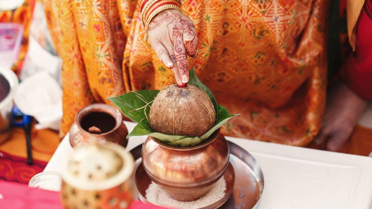 Why Pongal’s date seems to change every year — and why it really doesn’t