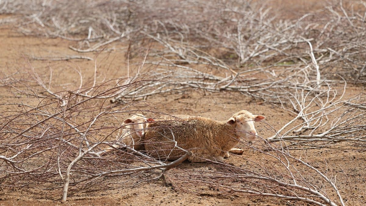 Trump scraps key climate rule. How it affects Americans