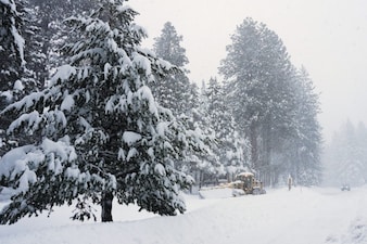 A road is plowed during a snow storm on Tuesday, Feb. 17, 2026 in Truckee Calif. (AP Photos/Brooke Hess-Homeier)