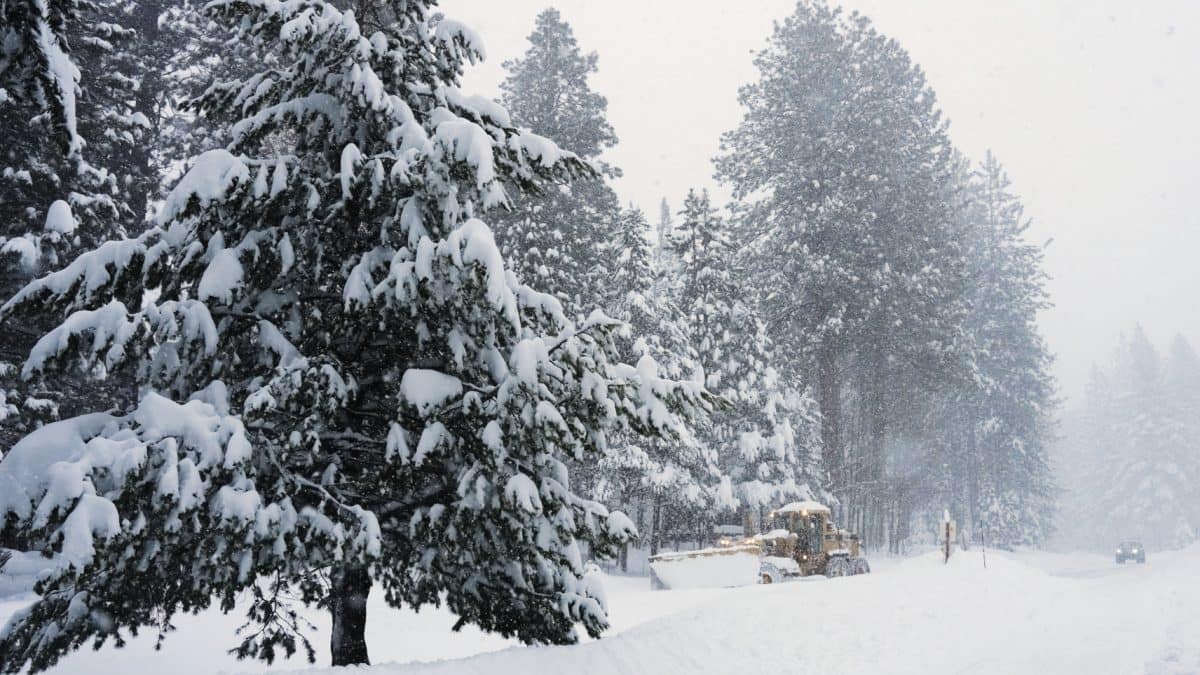 6 skiers trapped after avalanche in California as rescuers battle severe storm
