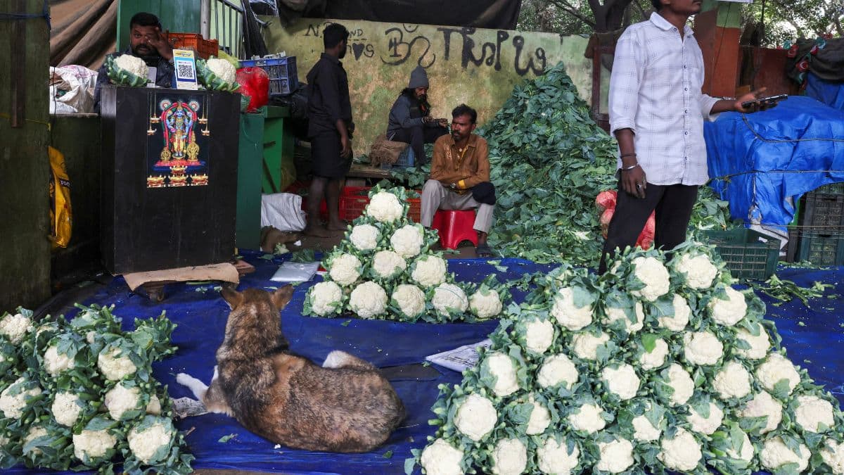 India’s new CPI explained: How will the 2024 inflation reset impact you?