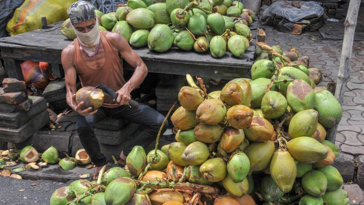 FM Sitharaman’s Budget 2026 puts the humble coconut at the centre of farm reforms FM Sitharaman’s Budget 2026 puts the humble coconut at the centre of farm reforms