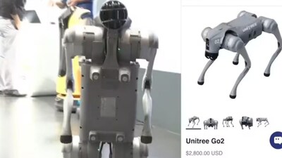 China-made robodog (X)