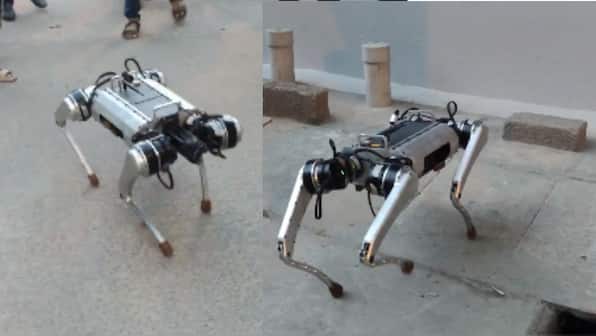 Galgotias University displayed a Chinese robodog. But has India made one?
