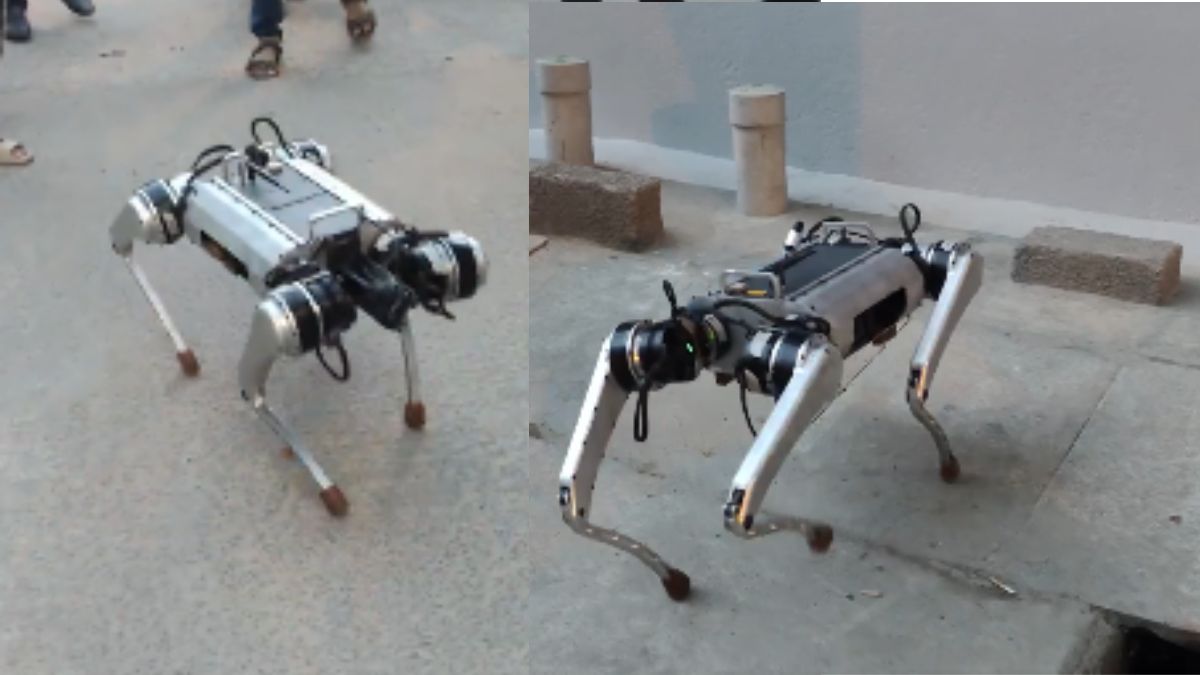 Galgotias University displayed a Chinese robodog. But has India made one? Galgotias University displayed a Chinese robodog. But has India made one?