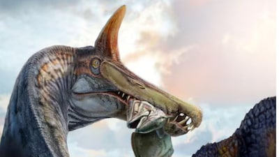 A monumental discovery in the Sahara reveals a scimitar crested giant that ruled the ancient riverbanks of Niger.