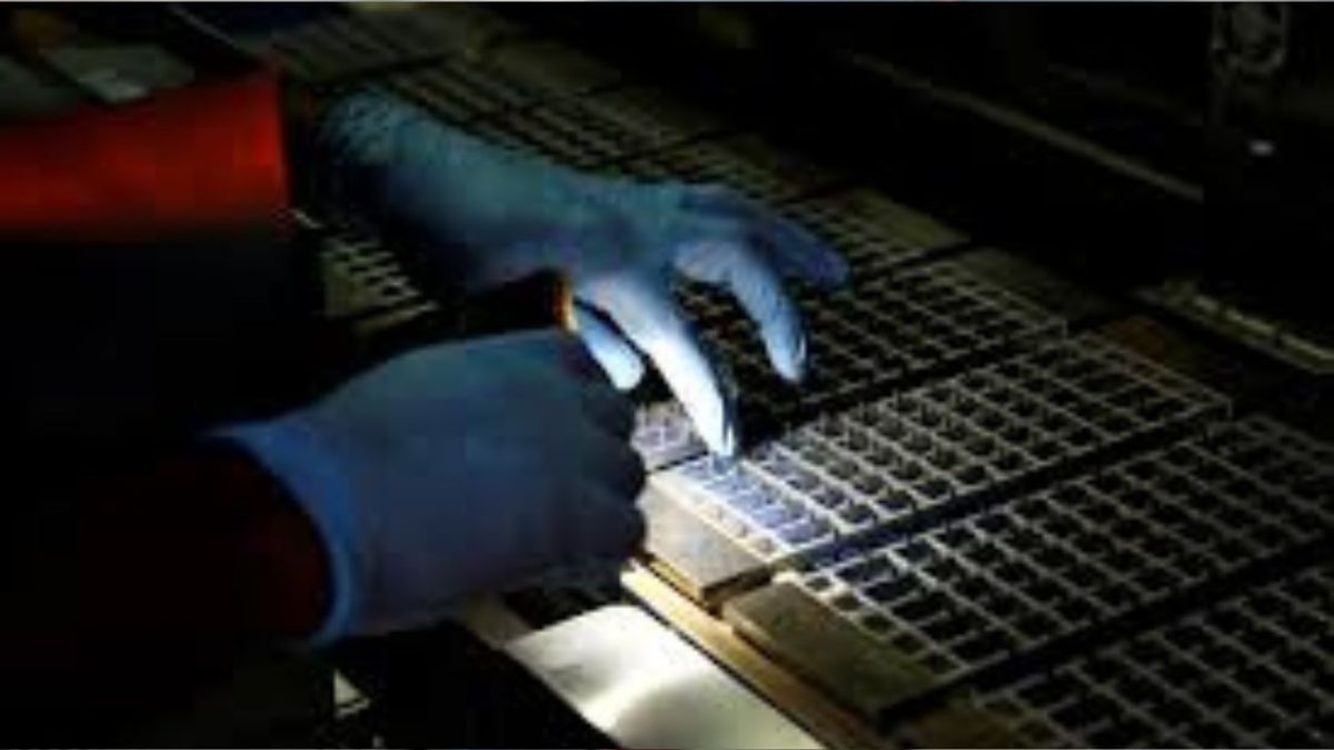 US slaps fresh tariff duties on solar cells and panels from India, Indonesia, Laos US slaps fresh tariff duties on solar cells and panels from India, Indonesia, Laos