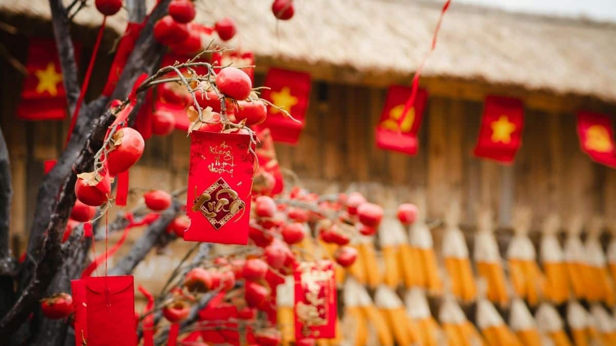 China braces for record Lunar New Year travel rush: Top destinations to explore now