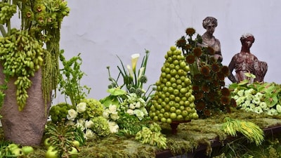 Colour of the year- Moonlit Silk unvealed at Lodhi Art District. Firstpost.