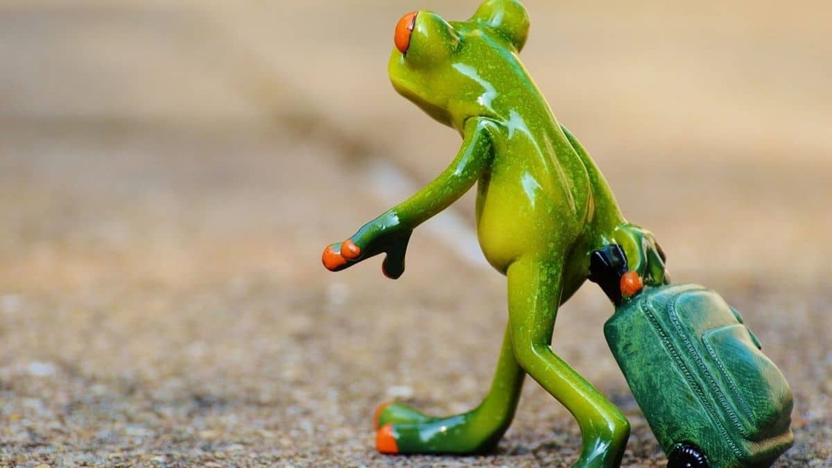 Why travelling at least once a year is good for mental health. Here’s what experts say