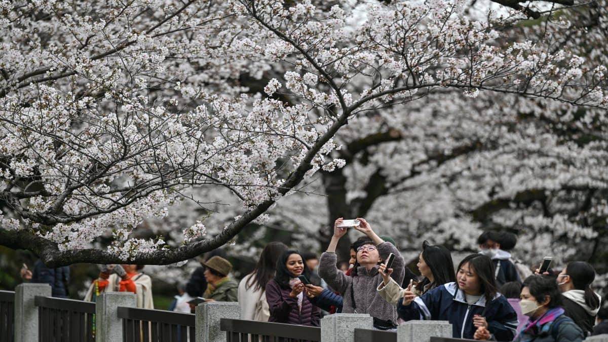 From Cherry Blossoms to Machu Picchu, how overtourism is ruining the world’s marvels