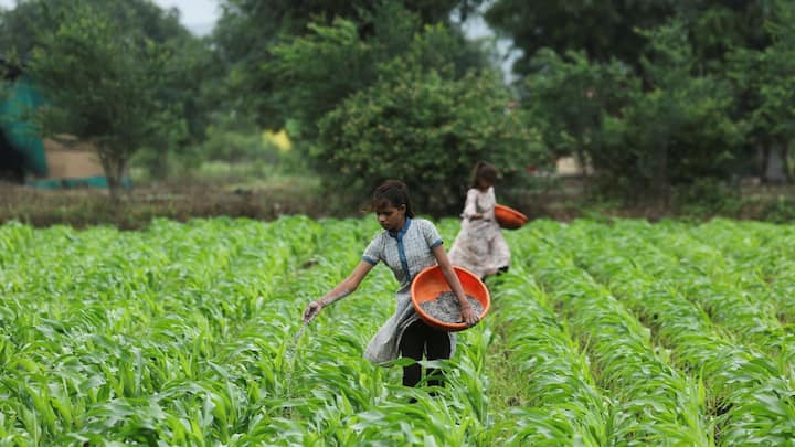 After oil, could there be a shortage of fertiliser and aluminium next? Firstpost Image