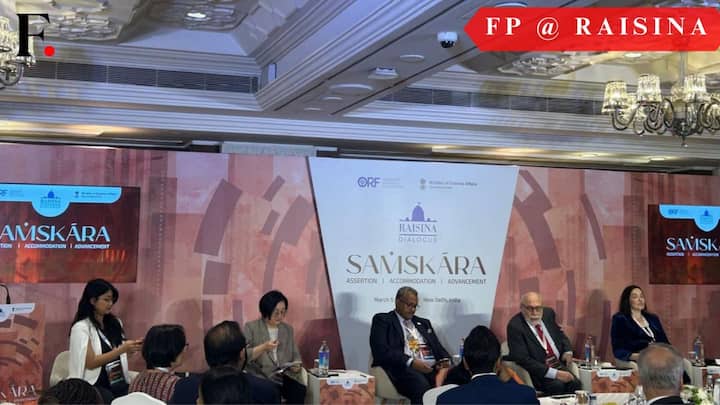 'A complementary & odd group': Experts weigh in on how Brics should navigate turbulent world order