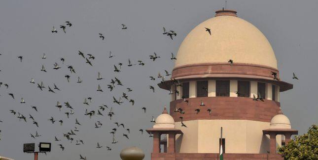 also passed a slew of orders for states and Union Territories on the stricter implementation of the Animal Birth Control (ABC) rules. PTI
