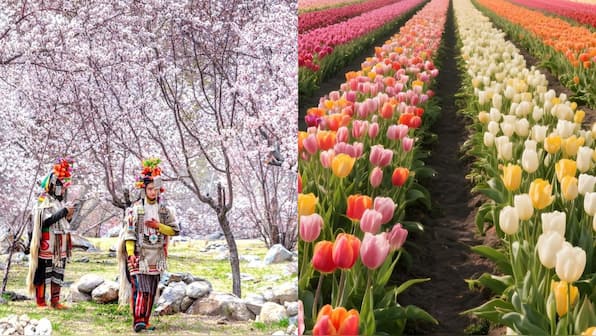 India in bloom: Spring festivals you must visit this April – Firstpost