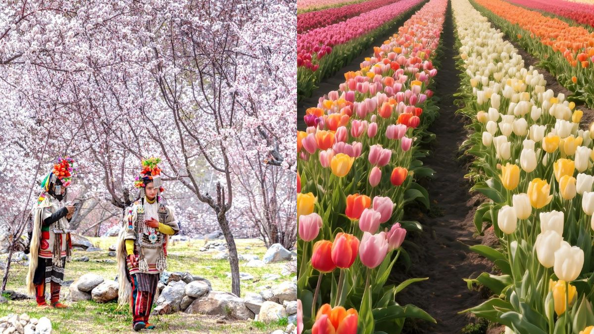 Spring Season In India India in bloom: Spring festivals you must visit this April – Firstpost