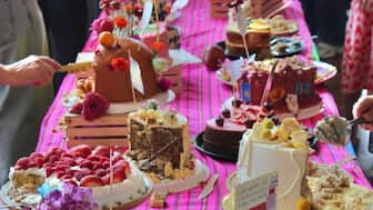 1000+ cakes, one rule: Inside the cake picnic trend taking over cities