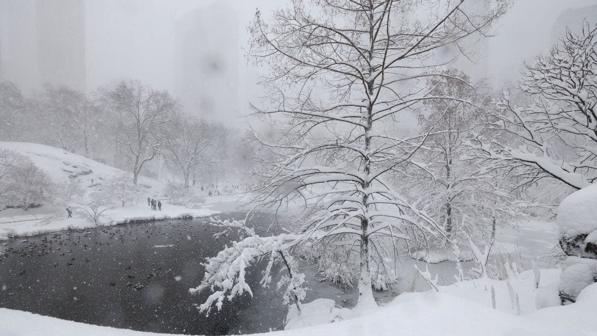 Massive storm threatens blizzards, storms and travel chaos across central and eastern US