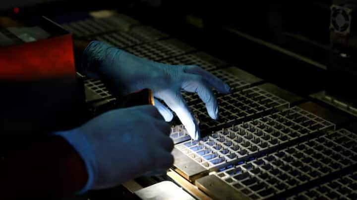 Bee-inspired solar panel design improves efficiency by up to 142%, researchers say Bee-inspired solar panel design improves efficiency by up to 142%, researchers say